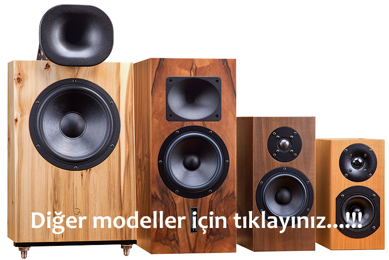 BLUMENHOFER ACOUSTICS Tempesta 17 BKS camarossAUDIO